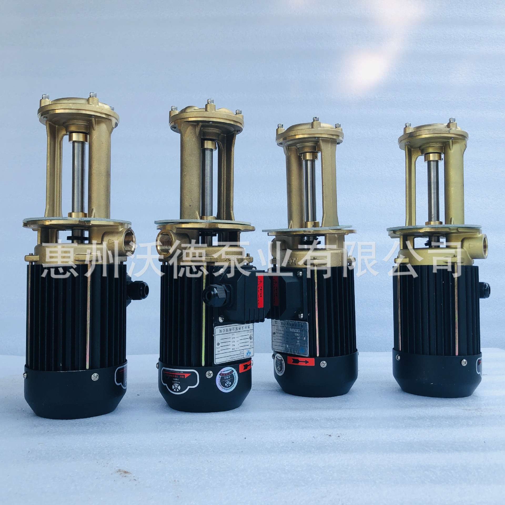 惠沃德WL-10-150立式泵0.75kw铜泵体机床液下泵热油泵专用水泵