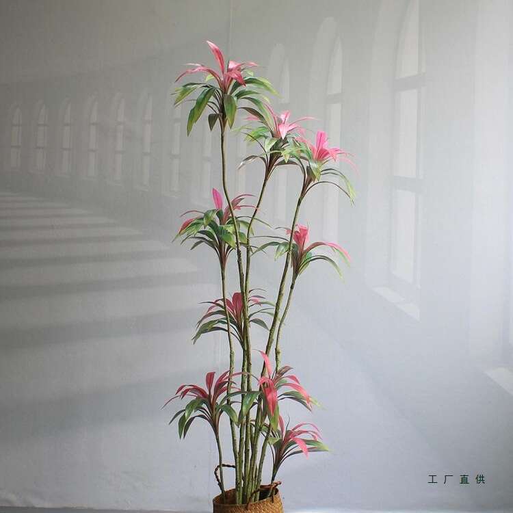 绿植物朱蕉铁树橱窗民宿酒店铺客厅大型落地装饰摆件盆景