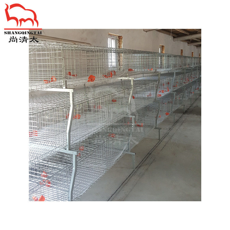元宝肉鸡笼肉鸡饲喂笼具养鸡笼子鸡用成长笼畜牧养殖设备