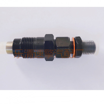 33800-425005L1HZ4D564M40喷油器总成主机品质工厂直销