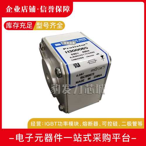 PC30UD69V550TF X300400 60V630TF L301770熔断器现货