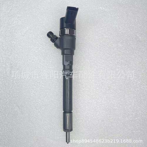 共轨喷油器0445110064 33800-27000 33800-27010 适用起亚发动机
