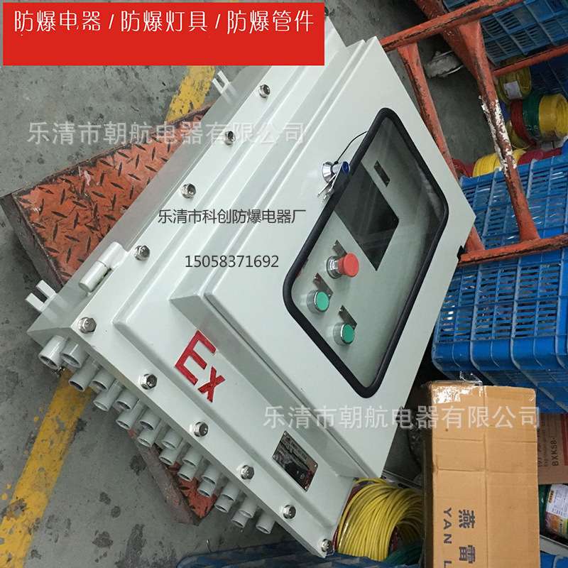 防爆仪表箱 铸钢仪表控制箱 触摸屏配电箱 63A/2p 施奈德微型