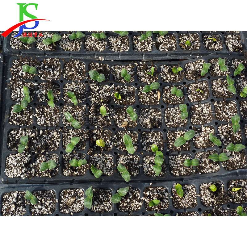 寿光蔬菜大棚穴盘育苗机 豆角自动育苗机 200孔穴盘花卉培育机