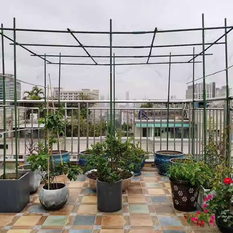 葡萄架子庭院户外爬藤架葫芦架丝瓜百香果架种菜植物瓜棚架支撑杆