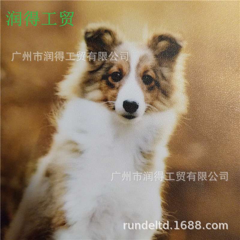 细磨砂2803相之宝哑光膜 PVC自粘冷裱膜 影楼相片广告写真保护膜