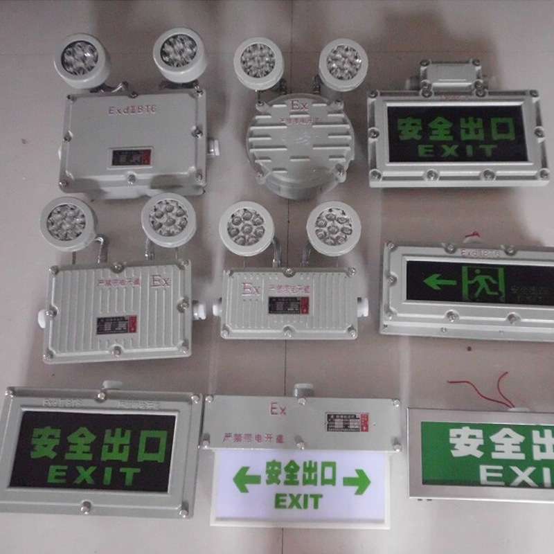 2*6W双头防爆圆形应急灯 LED圆形应急防爆灯 自动充电式IIC级.