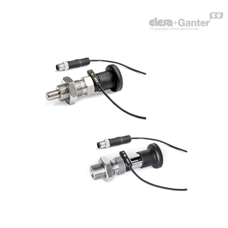 Elesa Ganter伊莉莎冈特 GN 817.6 不锈钢分度销