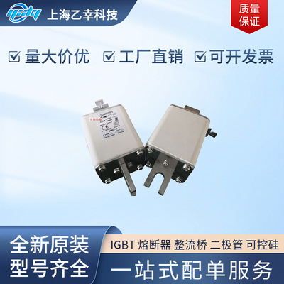 巴斯曼熔断器170M5983170M5984170M5985170M5986170M5987
