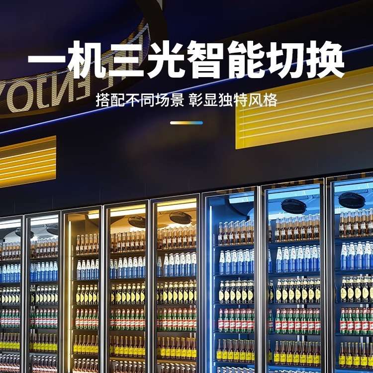 网红啤酒柜冷藏展示柜商用冰箱酒吧酒水柜超市饮料柜水果蔬菜冰柜