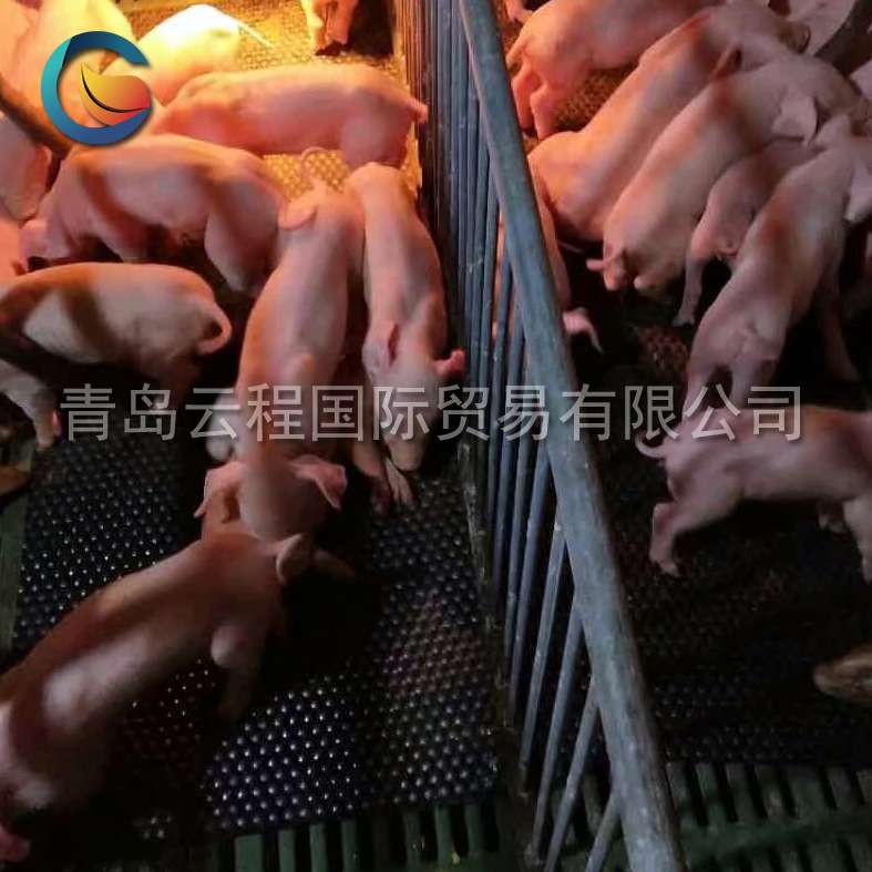 青岛厂家直销母猪产床专用垫猪舍保育保温垫牛马垫橡胶保温板防滑