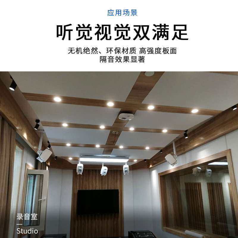 家用阻尼隔音板多功能墙面环保吸声降噪阻燃材料天花吊顶吸音板