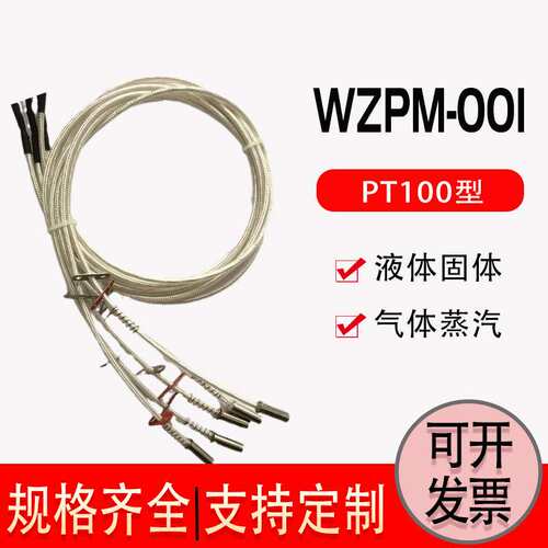 上海WZPM-201表面铂电阻 WZPM-001端面热电阻 pt100带引线