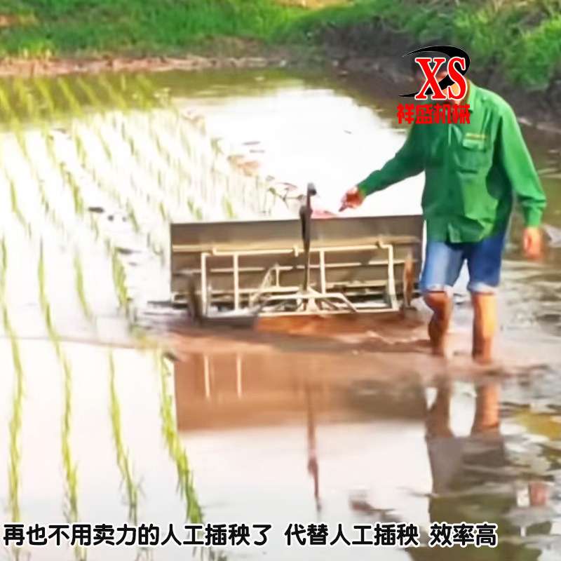 手扶4行6行插秧机轻型水稻插秧机步进式小型水稻插秧机秧盘栽秧机