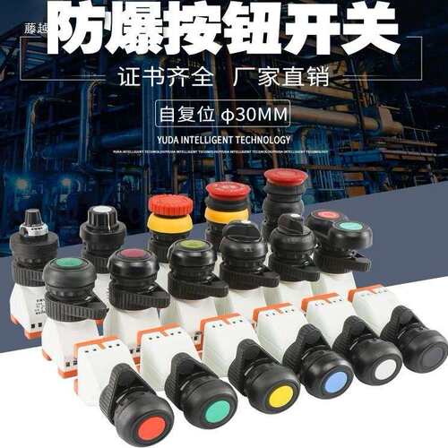 G8097/8030防爆防腐电源信号灯指示灯红黄蓝绿白开孔30MM