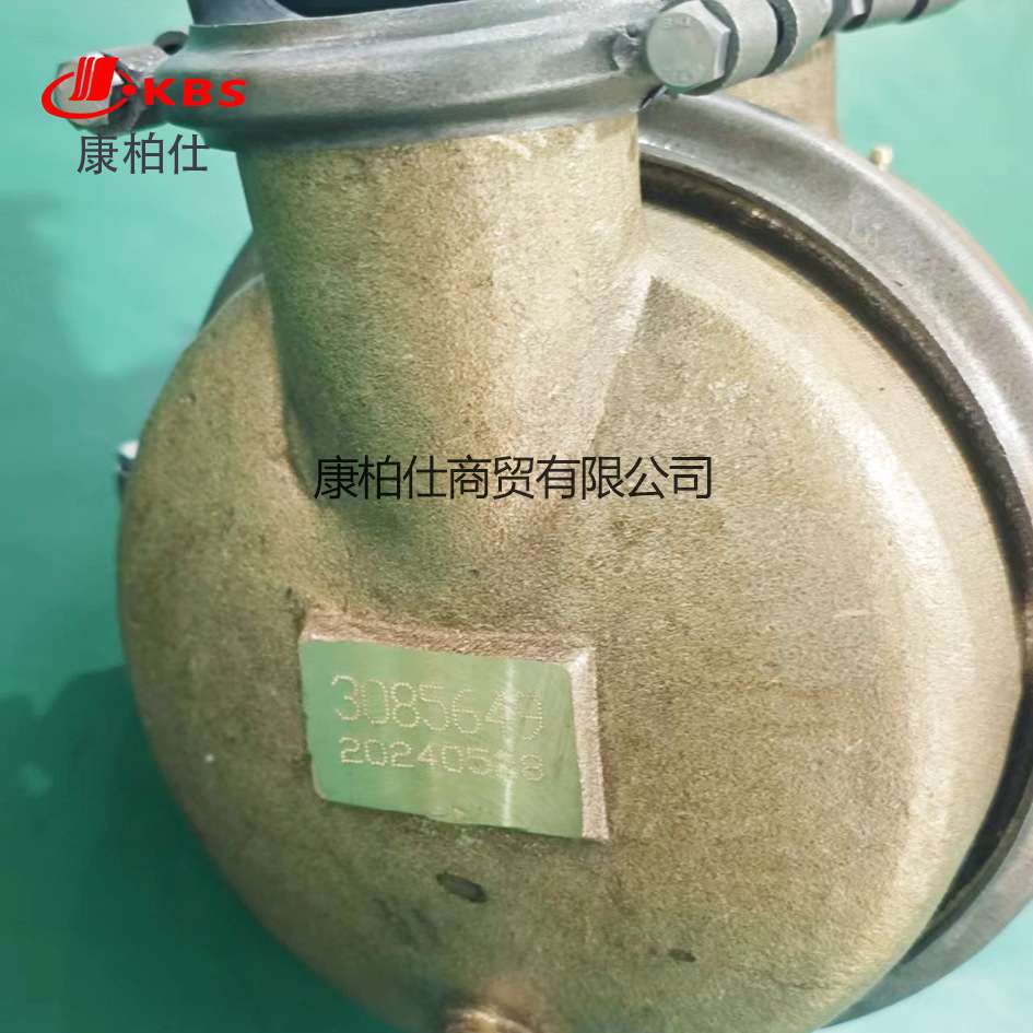 适用康明斯汽车K19系列柴油燃油发动机配件/海水泵3085649海水泵
