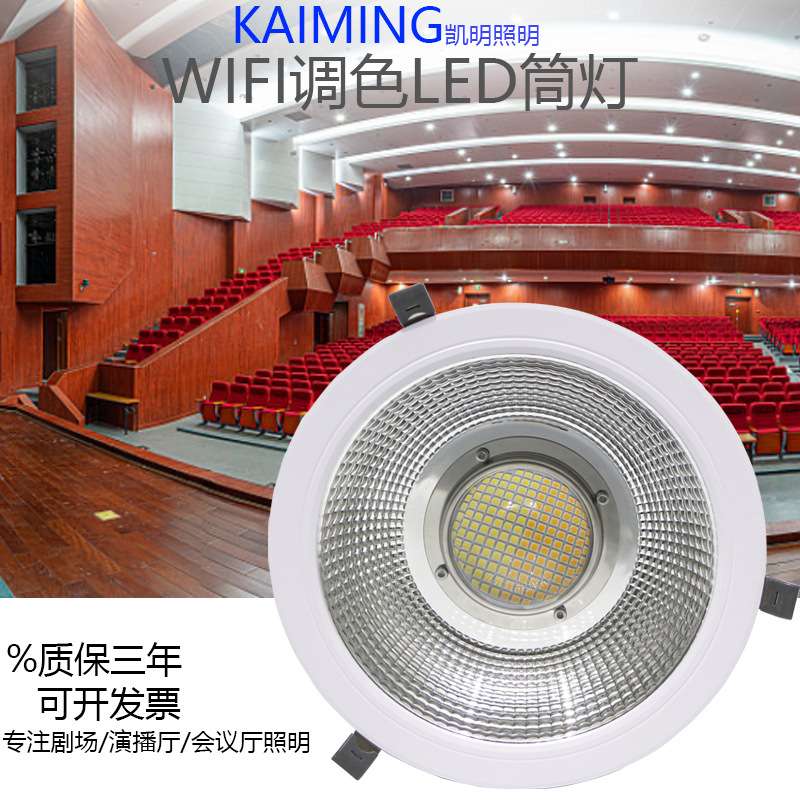调光调色温led筒灯 30w50w60w80w变光双色DMX512筒灯礼堂照明射灯
