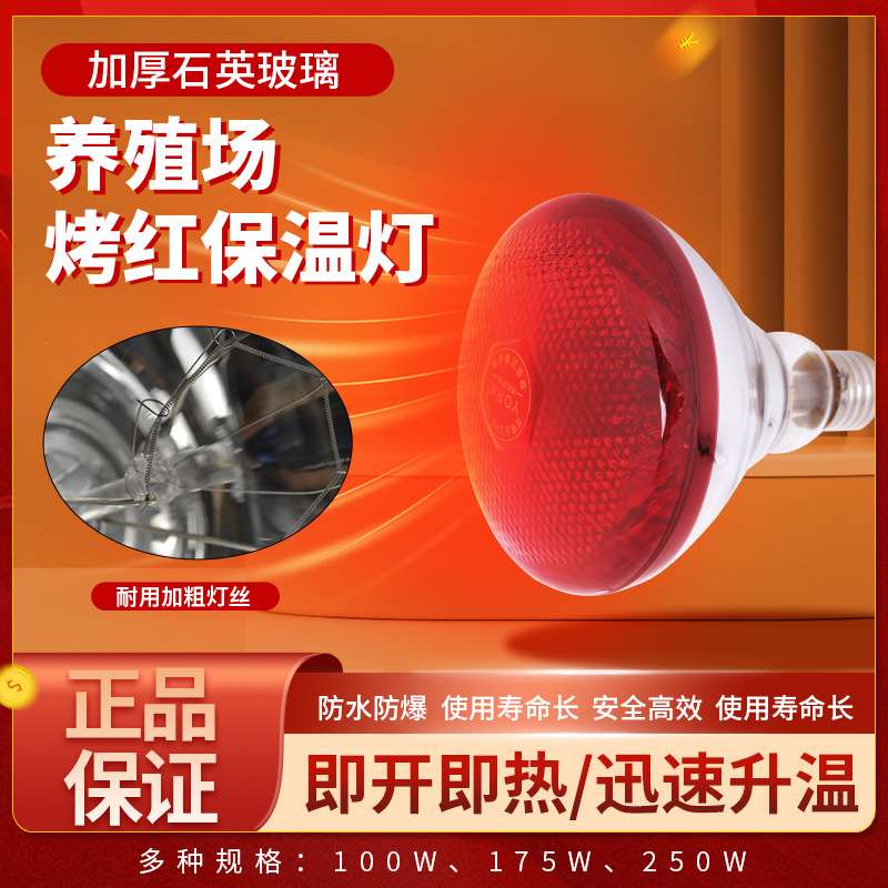 约克（YORK）养殖用保温灯猪场保温灯泡红外线取暖灯仔猪耐用速热