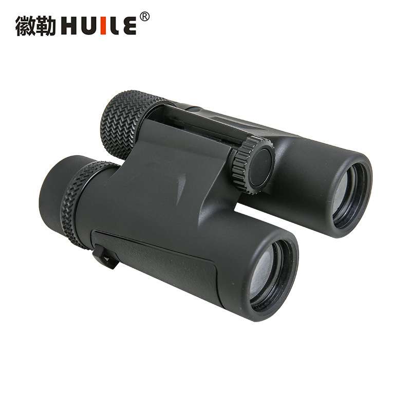 徽勒WSH1025乐玩系列双筒望远镜高精度建筑施工勘测12倍BAK4棱镜