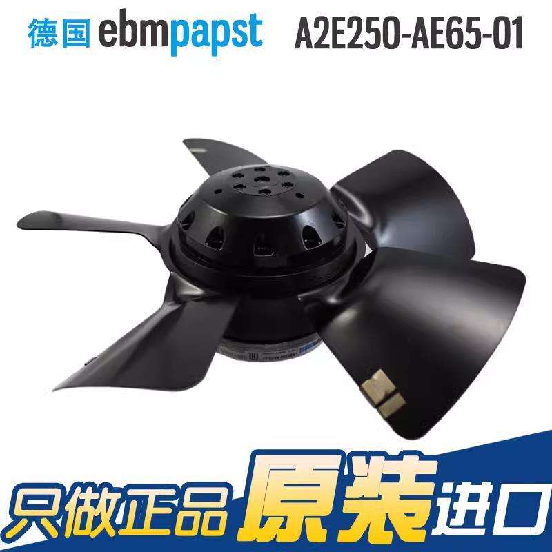 A2E250-AE65-01进口 230V蒸发器风机冷凝主轴电机外转子
