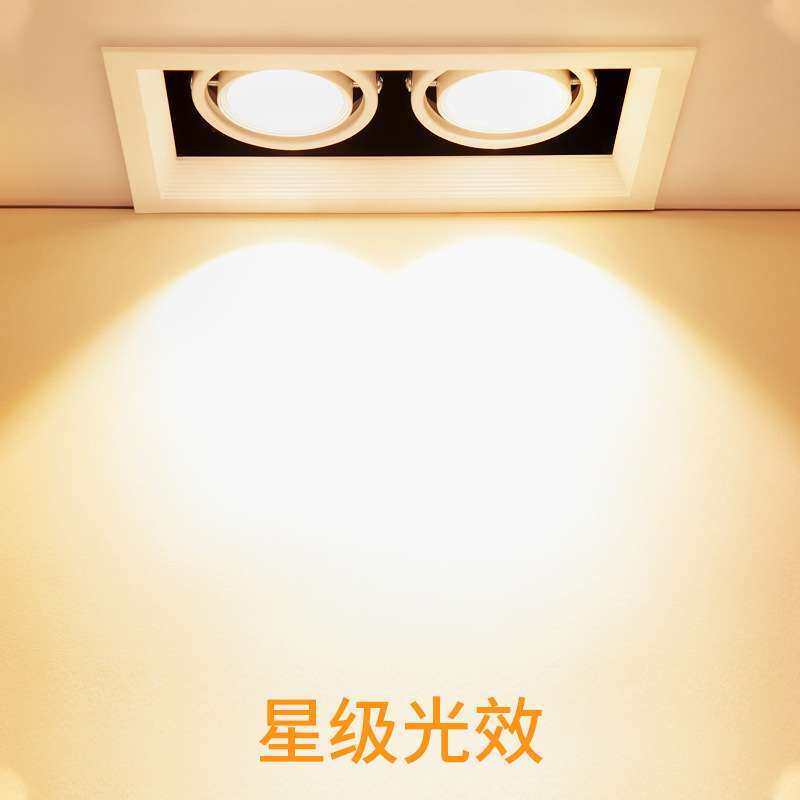 斗胆灯嵌入式单头双头天花灯led长方形过道格栅吊顶cob射灯豆胆灯