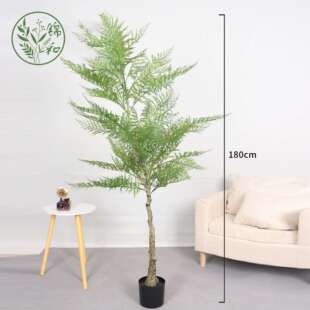 高端仿真银桦树假树植物落地盆栽客厅室内摆件装饰假绿植盆景造景
