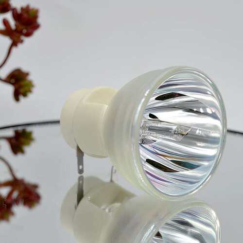 VIP180/0.8E20.8 rojector Lamp Bulb for Acer BenQ ViewSonic