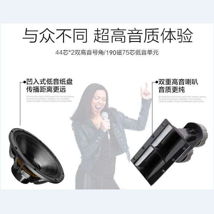 双十二寸线阵音箱户外演出双十二线阵音响会议舞台演出双十寸线阵