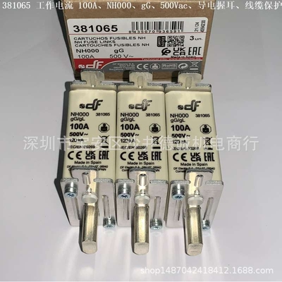DF ELECTRIC 381000 熔断器 工作电流 2A、gG、NH000、500Vac