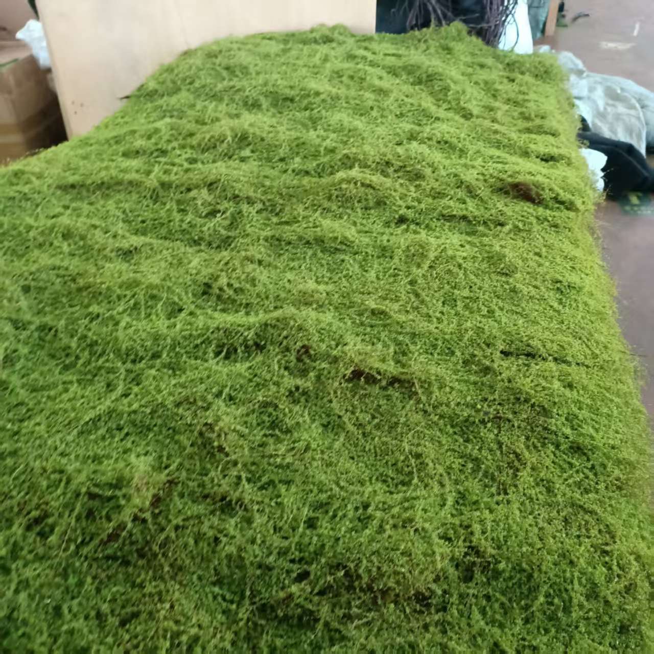 棕丝苔藓假青苔人造仿生草皮装饰绿植微景观造景植物室内造景草坪