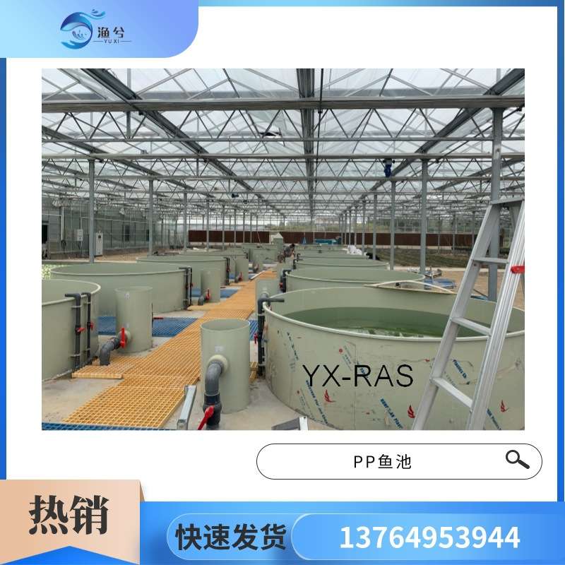 循环水塑料养殖鱼池 PP塑料圆形鱼池 长方形育苗箱