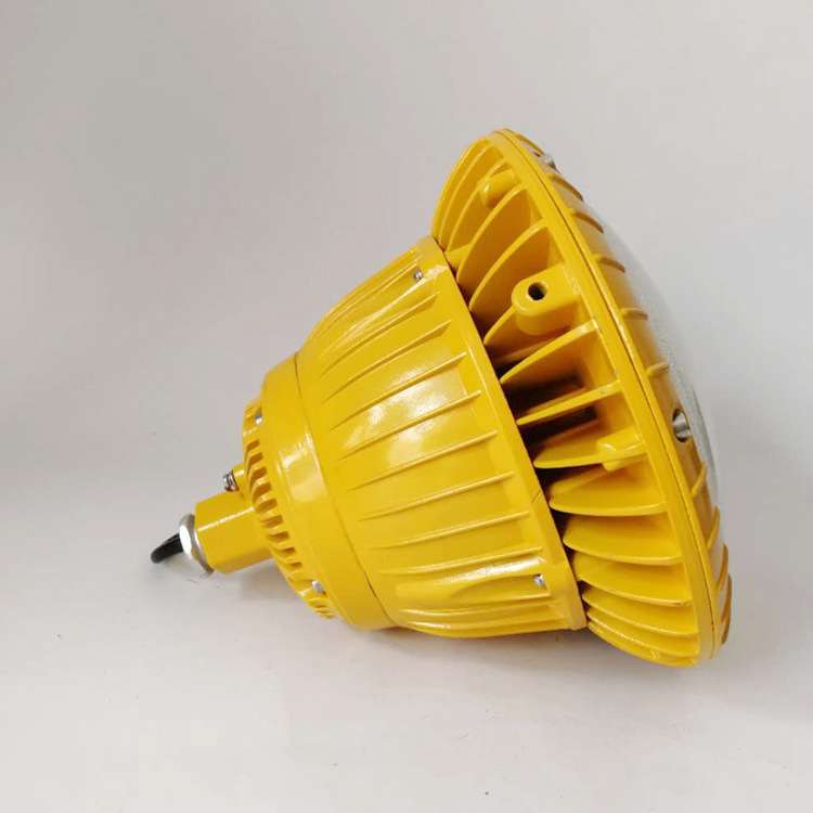 防爆灯5BAD85-M免维护LED灯50W80W100W 喷砂房加油站圆形投光灯HR
