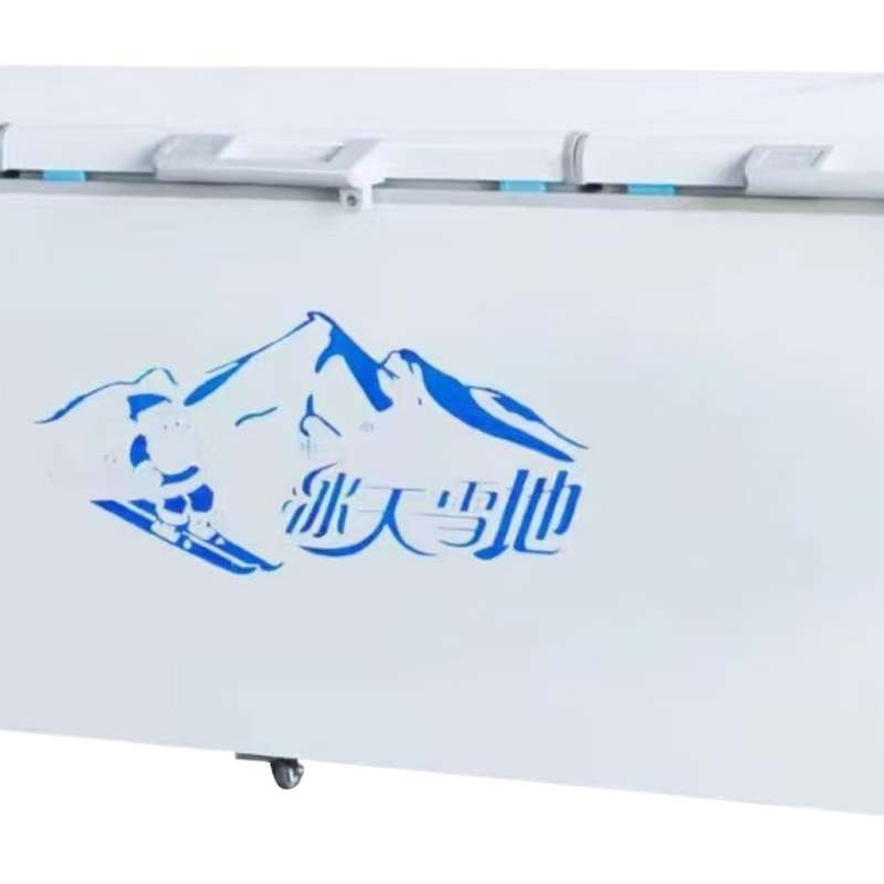 卧式冰柜 大容量家用卧式冰箱冷藏冷冻双门双温冷柜 商用冷冻柜