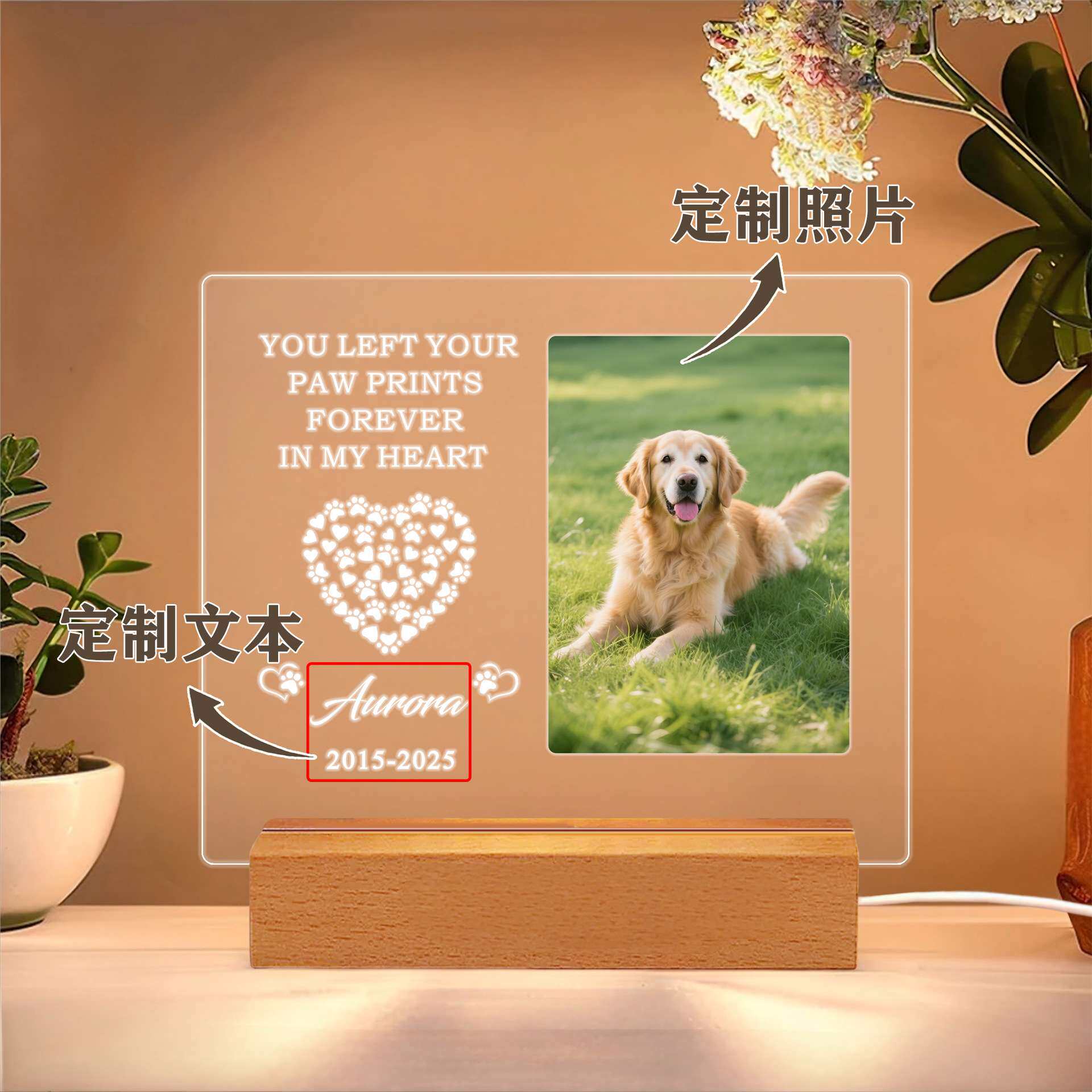 创意跨境热卖宠物纪念亚克力木制夜灯Etsy个性化动物照片灯创意