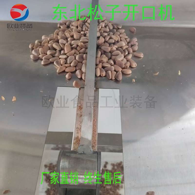商用压松子机器 东北松子加工设备 小型家用松子开口机 现货优惠