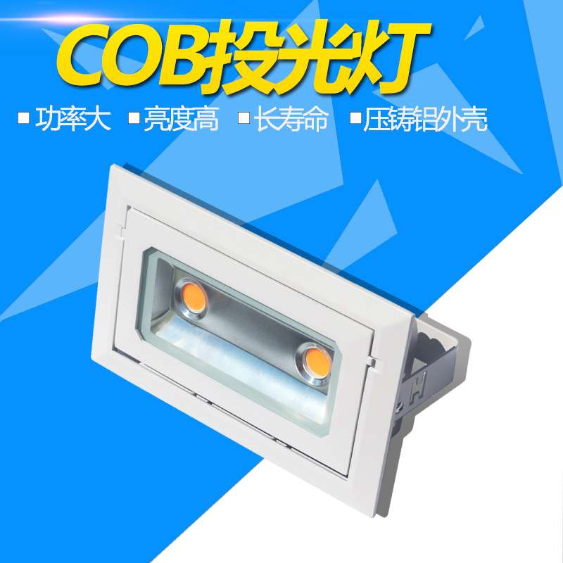 30W铝制矿灯矩形双LED天花灯COB晶元芯片厂家直销生鲜专用商用