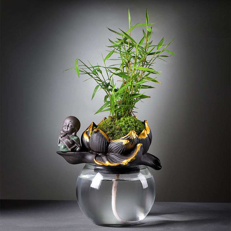 竹子室内盆栽文竹栀子花水养创意懒人自动花卉植物办公室小绿植