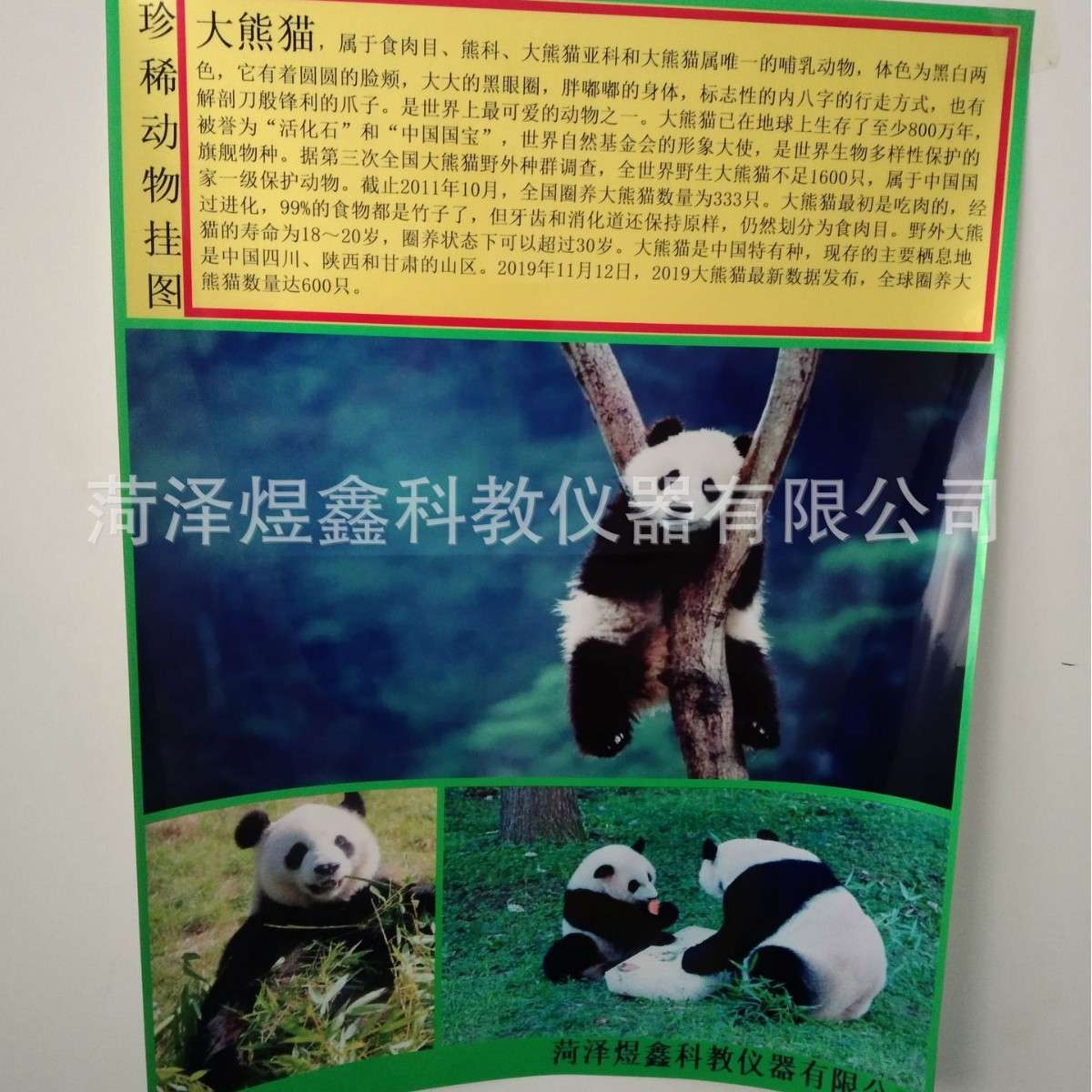 新课标50511001001 珍稀动物挂图 科学与生命实验挂图