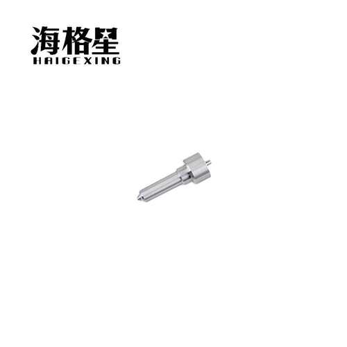 L076PBD 喷油嘴适用德尔福柴油共轨喷油器 EJBR02201D