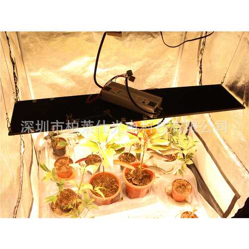 320W LM301H + 660nm uv ir Quantum LED Board 量子板植物灯