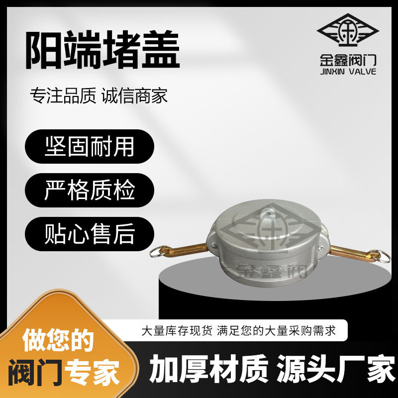 不锈钢法兰出口密封盖油罐车输油管道快速接头加油口阳端堵盖