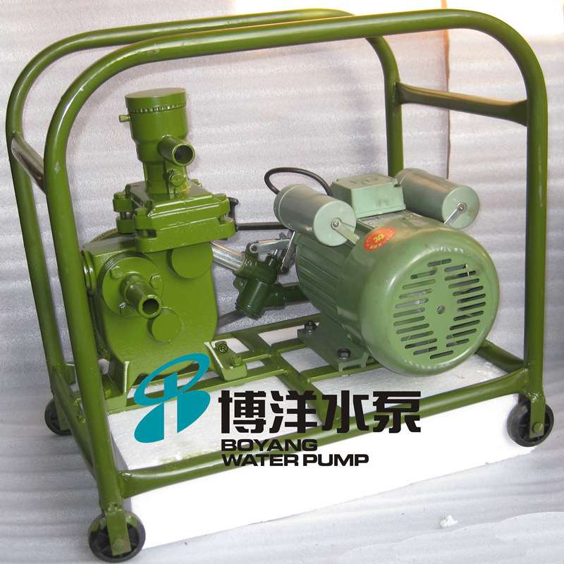 厂家现货BYSH-38,25型手摇泵,人防抽油泵 半旋式抽油泵