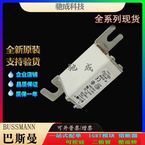 巴斯曼170M0277 170M1308 170M1309 厂家供货优价供应 特种保险丝