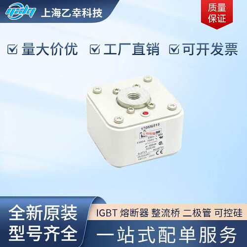 巴斯曼熔断器  170M6520 170M6521 170M6524 170M6534 170M6538