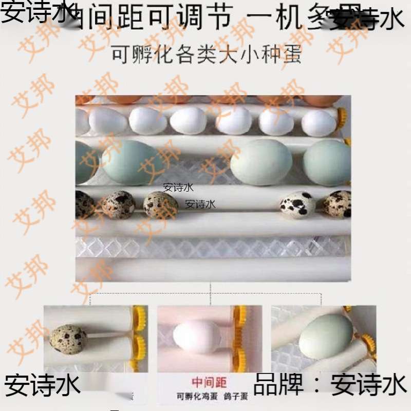 孵小鸡的机器报小鸡的设备卵化小鸡家用抱蛋器暖化浮孵蛋机多功能