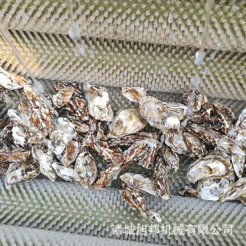 菱角葫芦瓜去皮清洗 葛根清洗去皮机 商用鱼类鲫鱼毛辊去鳞清洗机