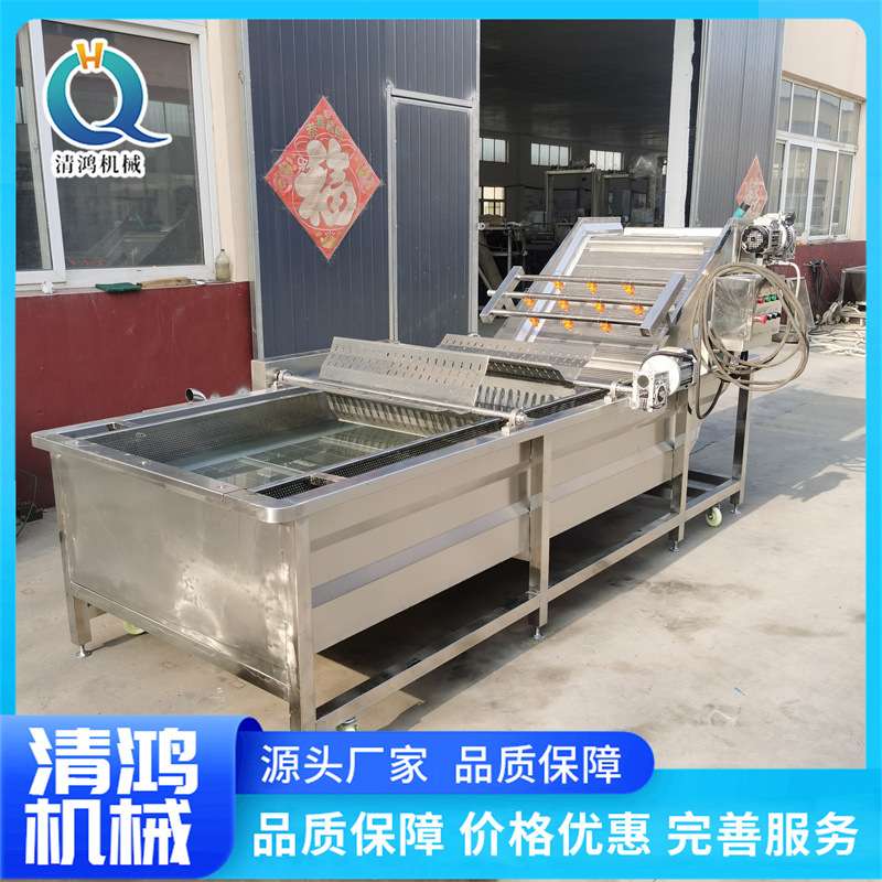 商用海带清洗机油麦菜气泡设备学生餐厅蔬菜加工流水线果蔬食品级