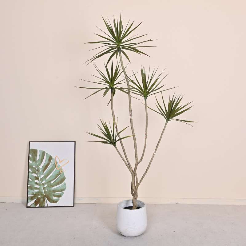 沙漠绿植千年木剑麻家居客厅落地装饰植物大型假树木龙舌高仿真