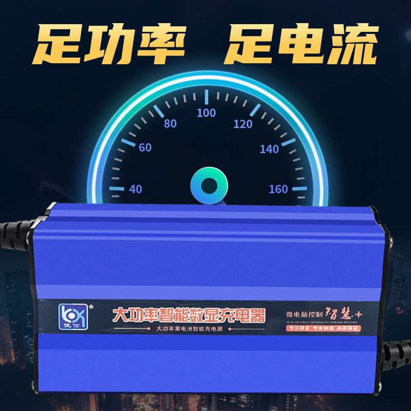 叉车充电器12V24V10A15A20A30A伏液压堆高车搬运升降机洗地机电瓶