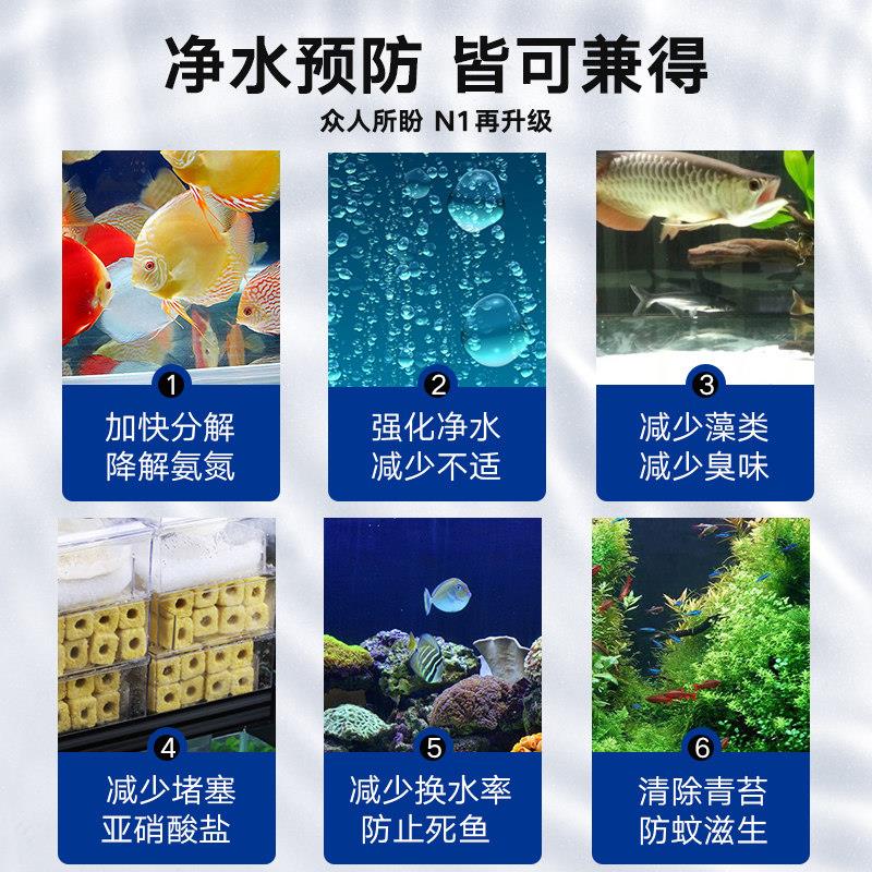 鱼缸硝化细菌锦鲤专用水族活菌净水剂养鱼用品鱼药水鱼池消化细菌